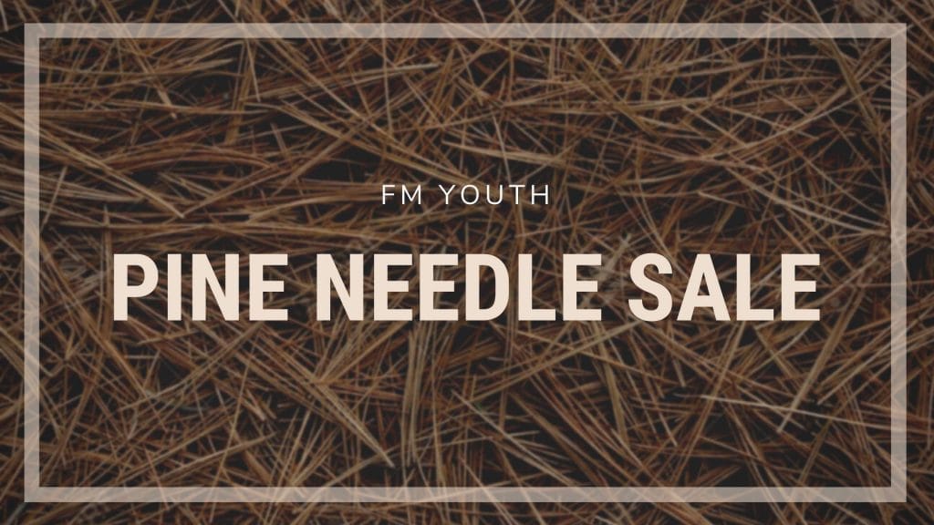 Youth Pine Needle Sale Graphic
