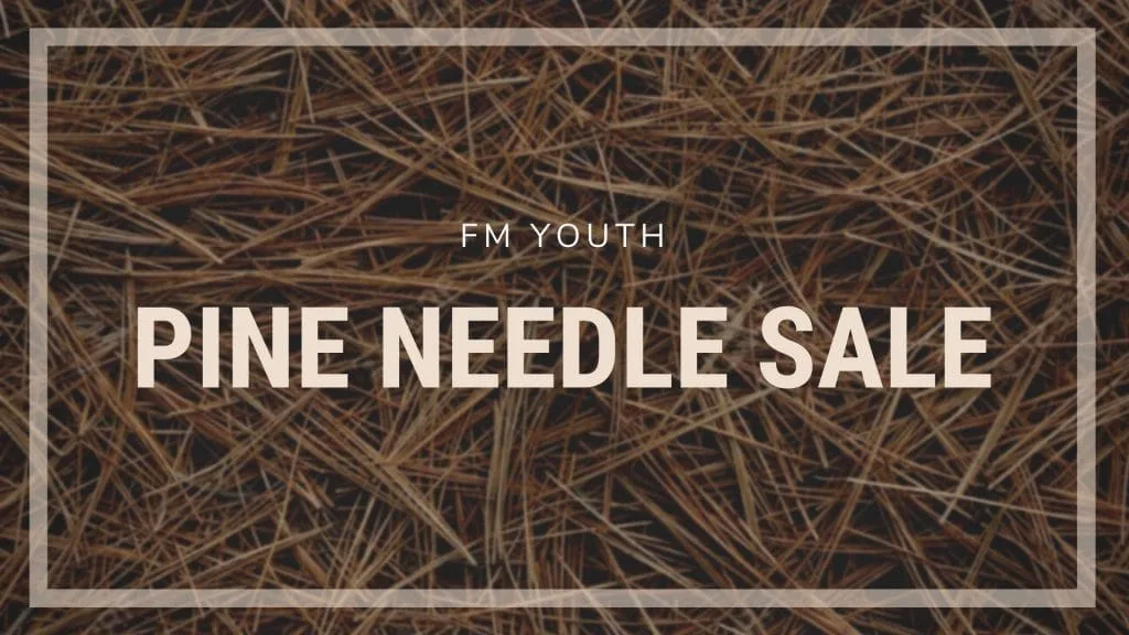Youth Pine Needle Sale Graphic