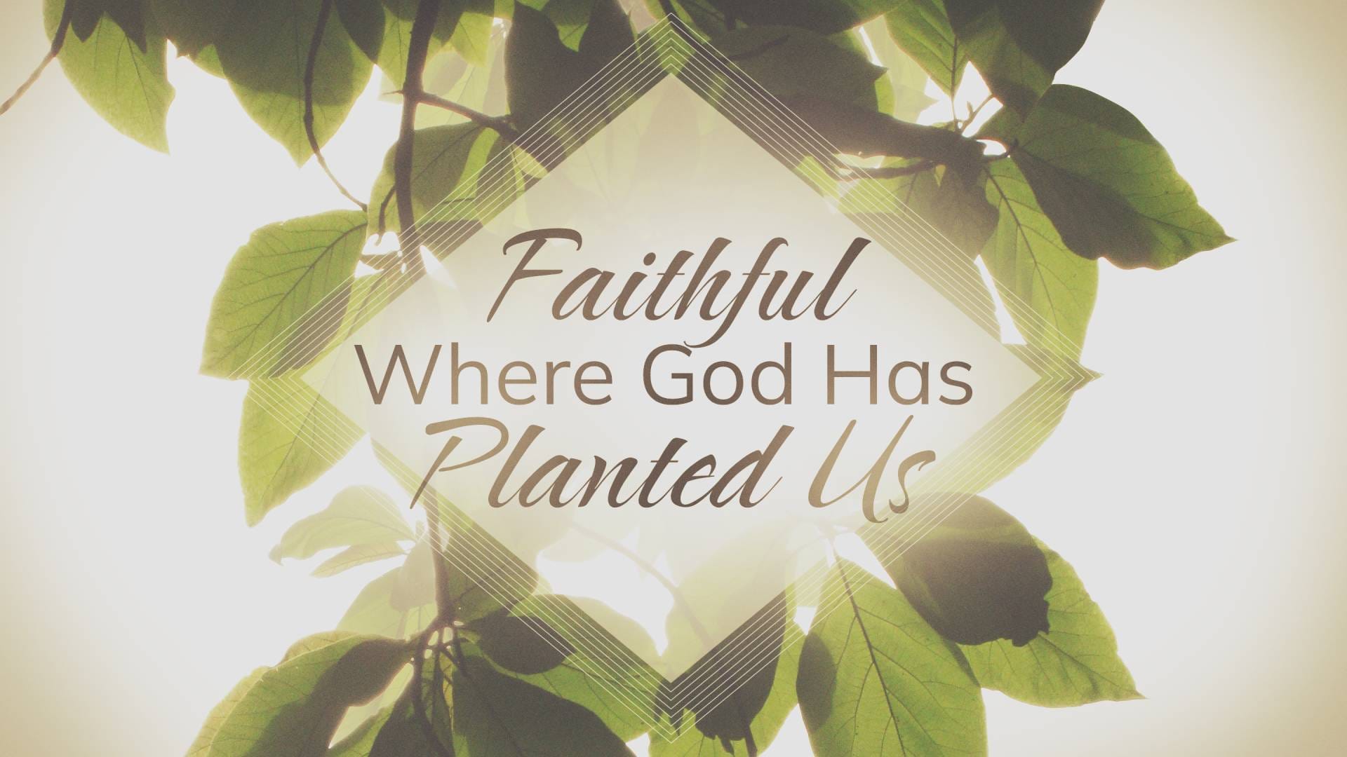 Faithful Where God Has Planted Us